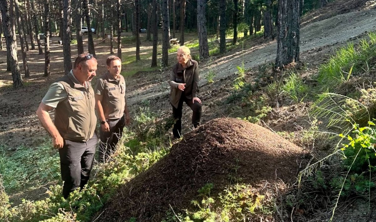 DKMP Genel Müdür Yardımcısı Terzioğlu'ndan Çorum'a Ziyaret
