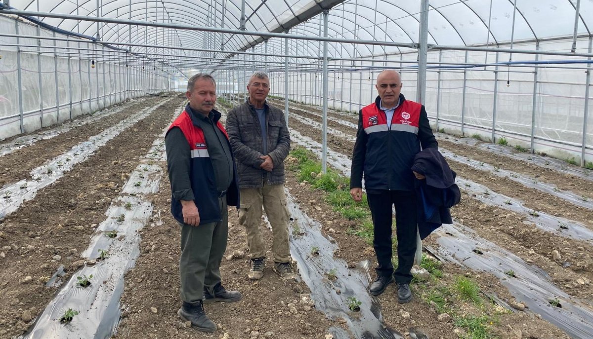 Sütten Seraya, Sulamadan Verime: Mecitözü İlçe Tarım’dan Çıkartma