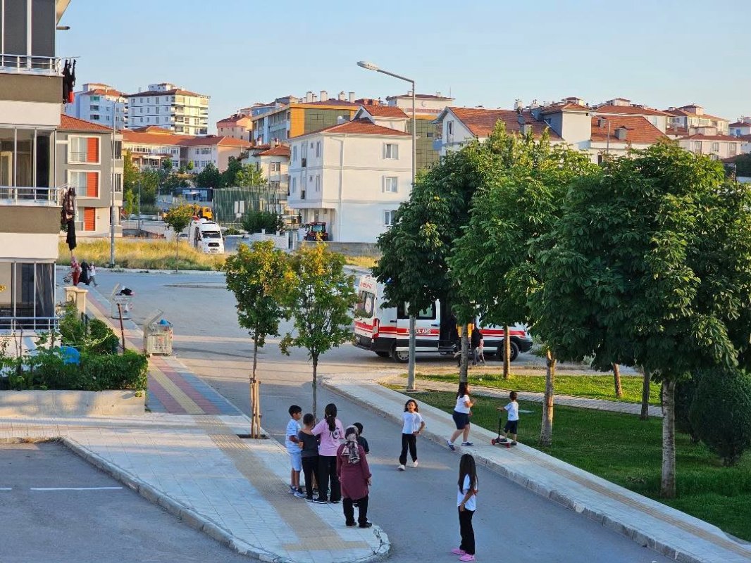 Gülabibey Mahallesi'nde Lağam Faresi Kabusu: Küçük Kızı Ve Yaşlı Kadını Isırdılar
