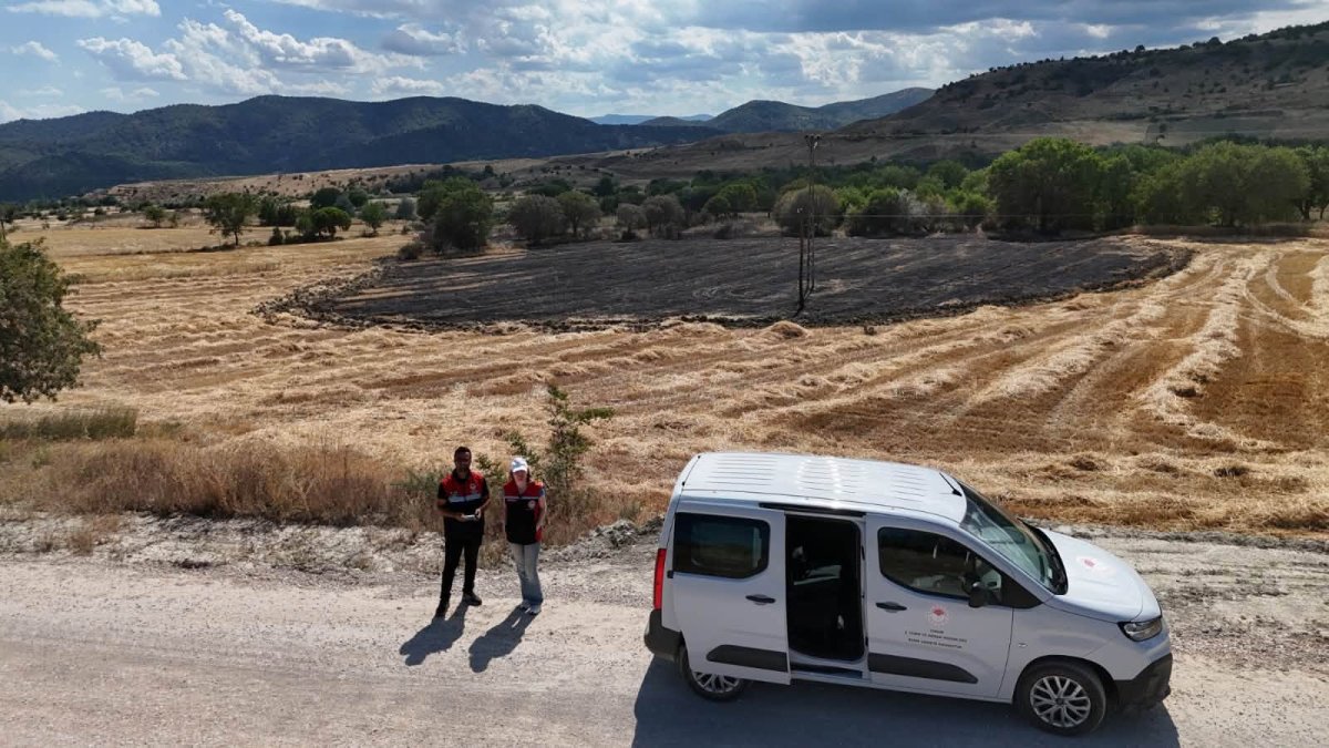 Laçin ve Osmancık'ta Yangın Sonrası Hasar Tespit Çalışmaları Sürüyor