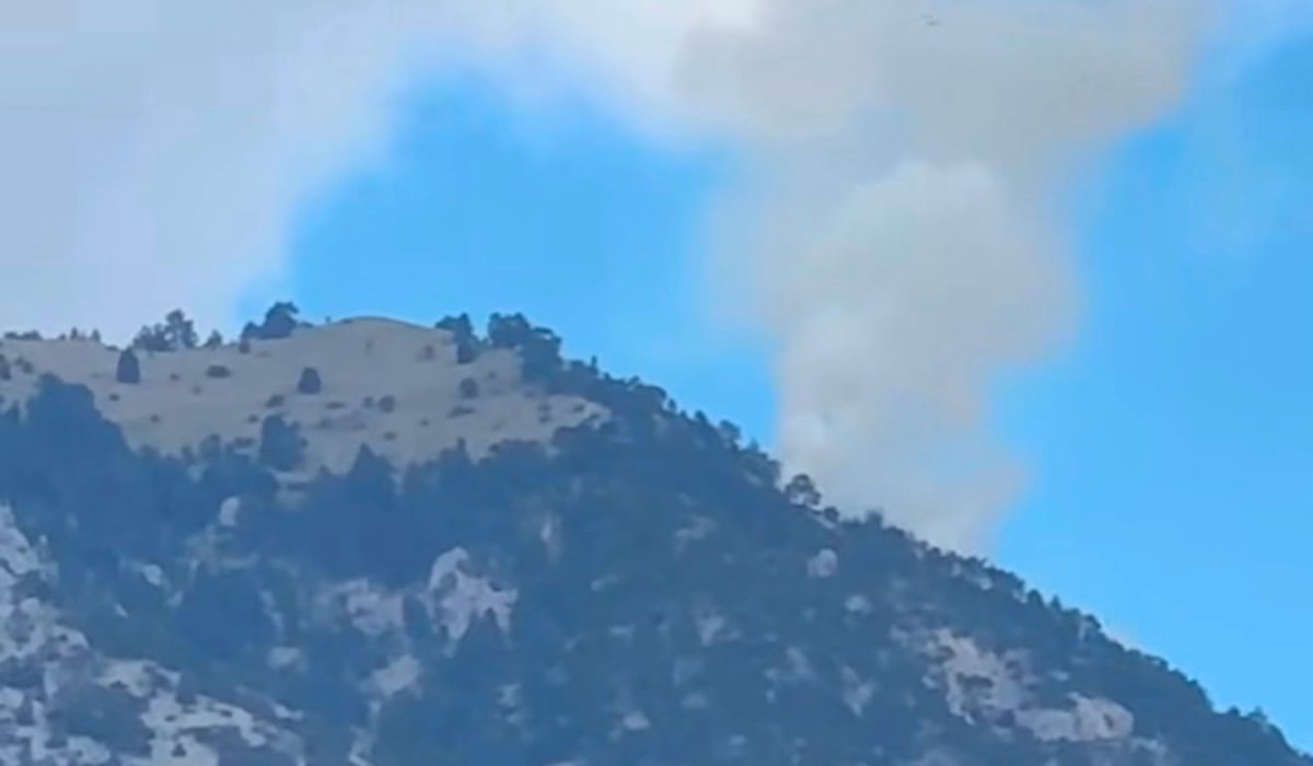 Çorum Kargı'da Korkutan Orman Yangını
