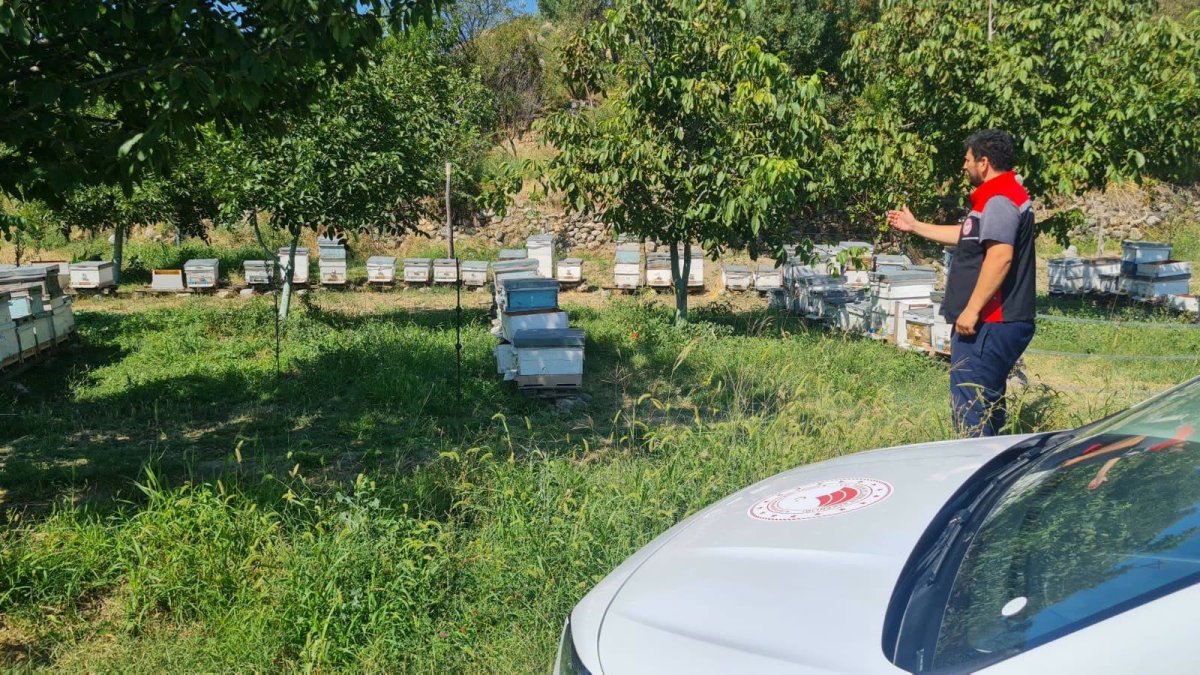 Kargı'da Arılı Kovan Desteklemesi Tespit Çalışmaları Sürüyor