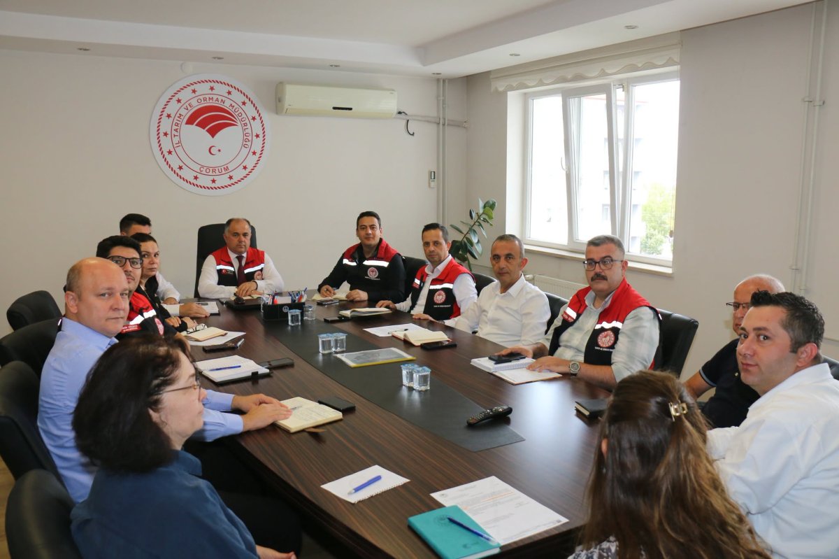 Tarım ve Orman Müdürlüğü'nde Hizmet İstişaresi: Hasan Taş Başkanlığında Toplandılar