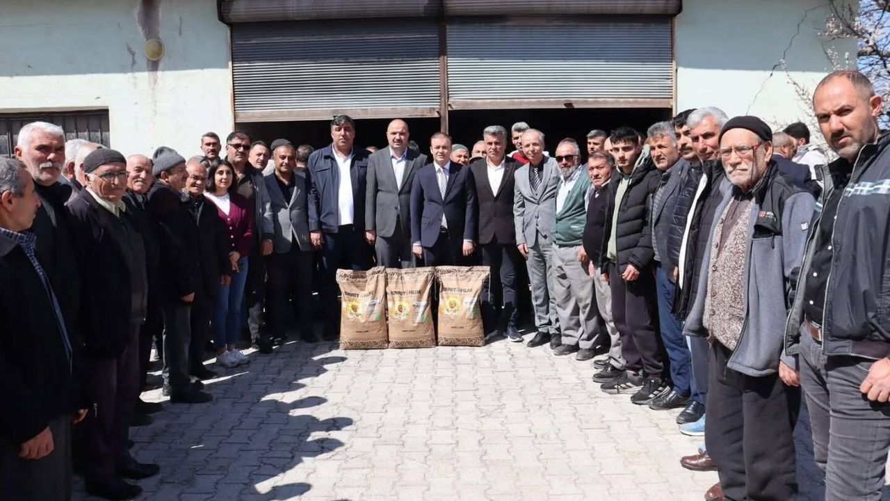 Alaca’da 244 Çiftçiye Ayçiçeği Tohumu Desteği