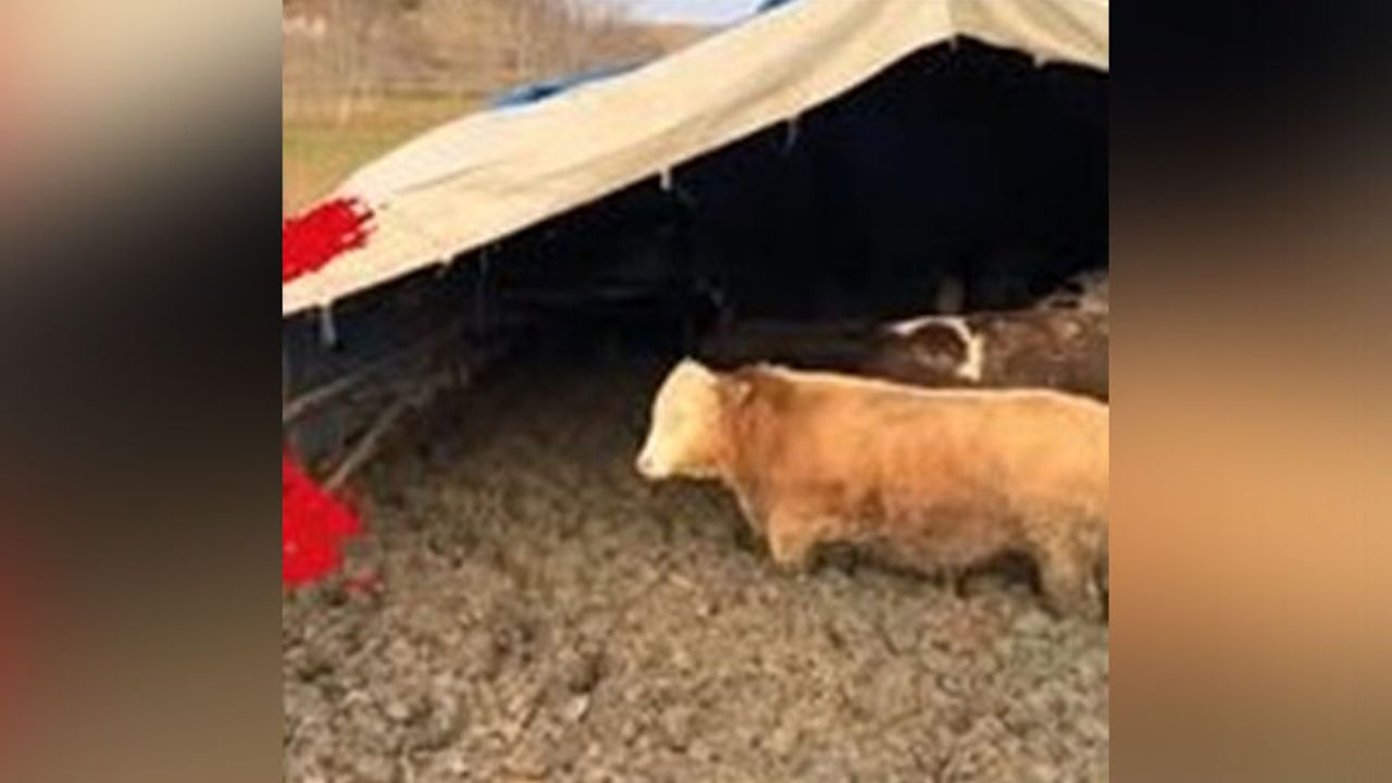 Bakanlıktan Hızlı Müdahale: İşletmeye Ceza Yağdı