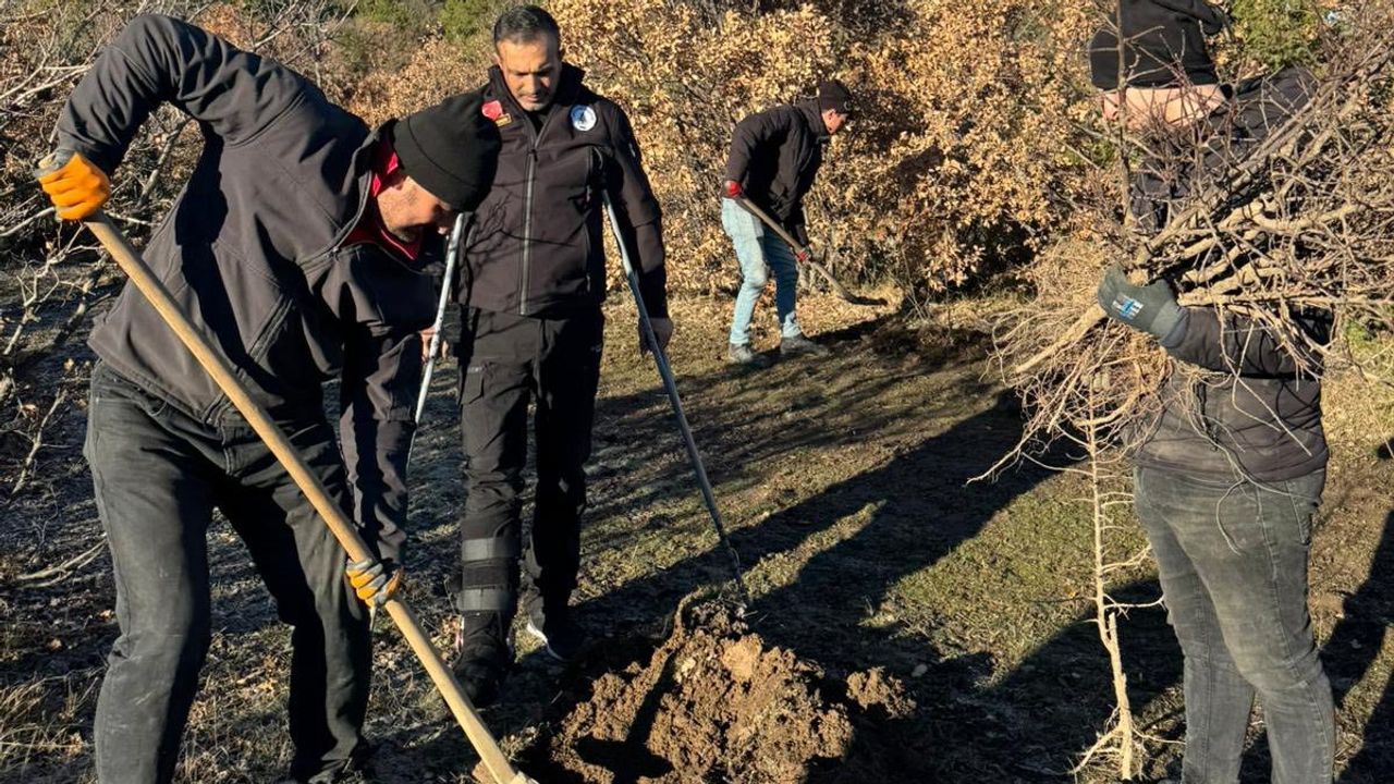Başkan Torun, İlçe Halkıyla Birlikte Dağlarda Toprağı Fidanlarla Buluşturdu