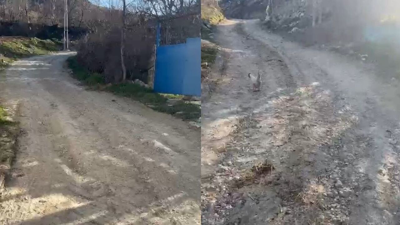 Bu Çağda Köy Yolu Değil Adeta Çile Yolu