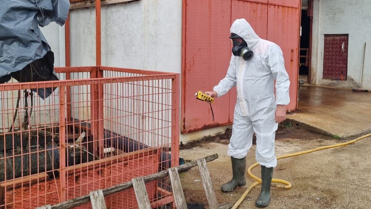 Çiftlikte Gaz Paniği! 1 İşçi Hastaneye Kaldırıldı