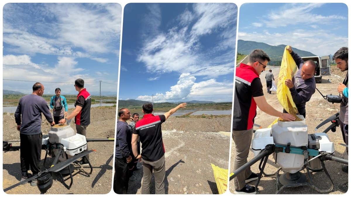 Laçin'de Çeltik Ekim Mesaisi Başladı: Tarımda Dron Teknolojisi Dönemi!