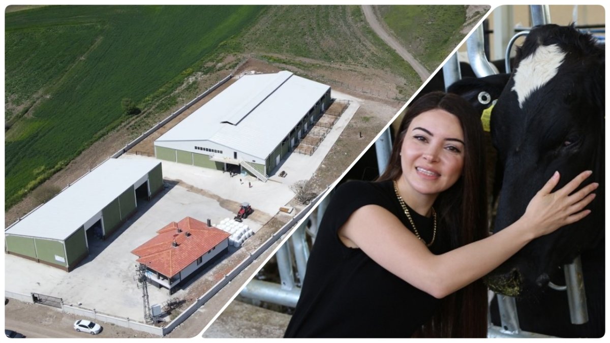 Genç Kadın Mimar Kendi Köyüne Ab Standartlarında Süt Çiftliği Kurdu