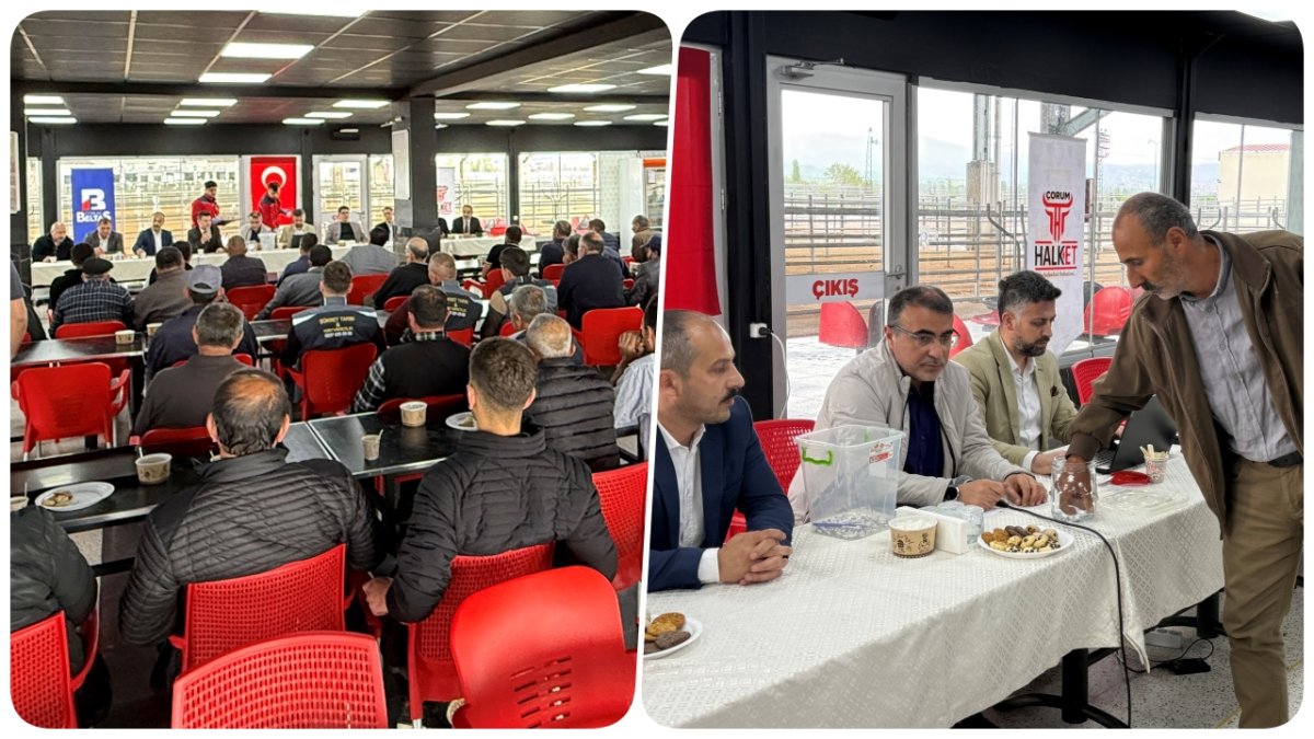 Padoklar için kura çekildi