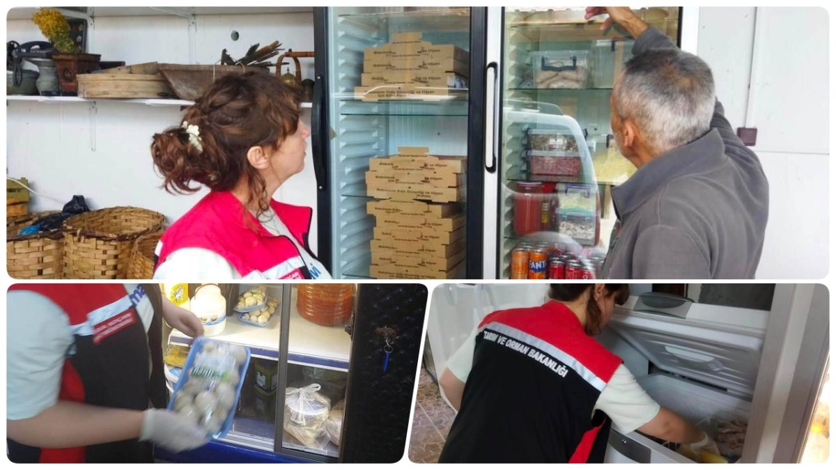Kargı'da Gıda İşletmelerine Titiz Denetim