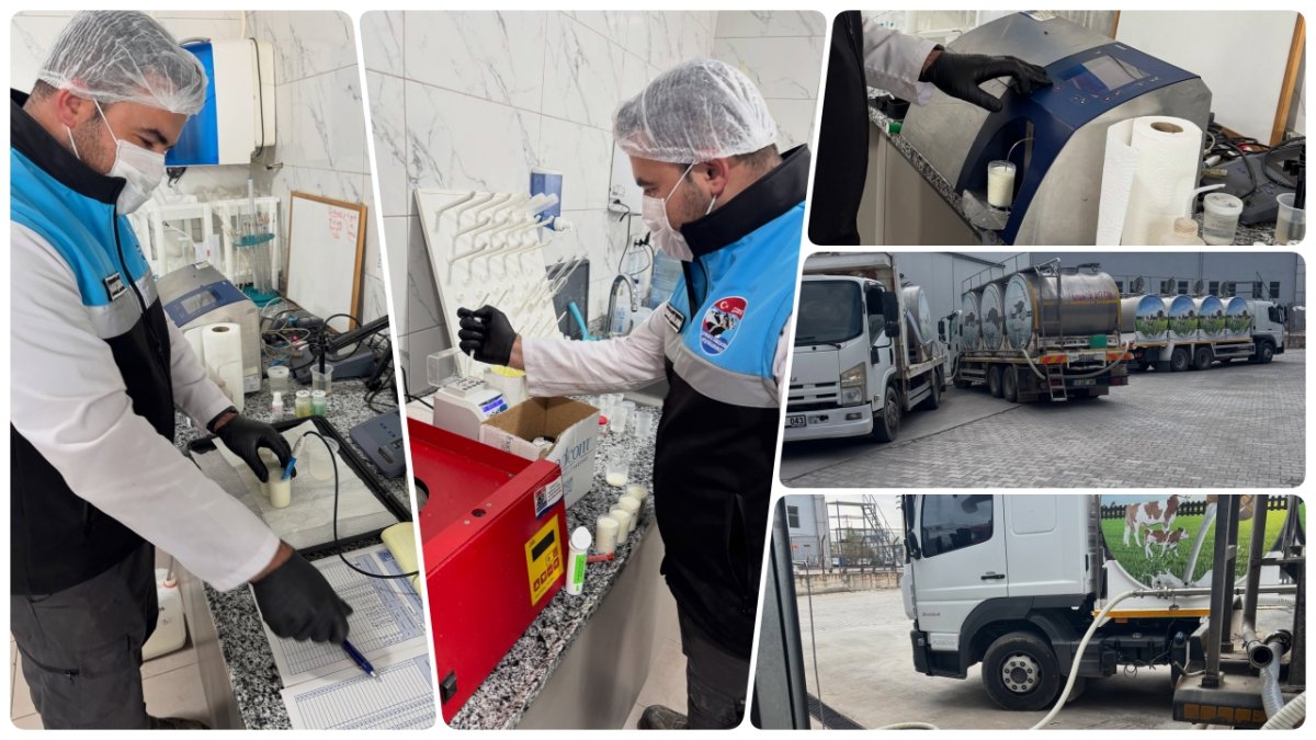Çorum'da Süt Kalitesine Sıkı Takip: Birlik Laboratuvarlarında Titiz Kontrol
