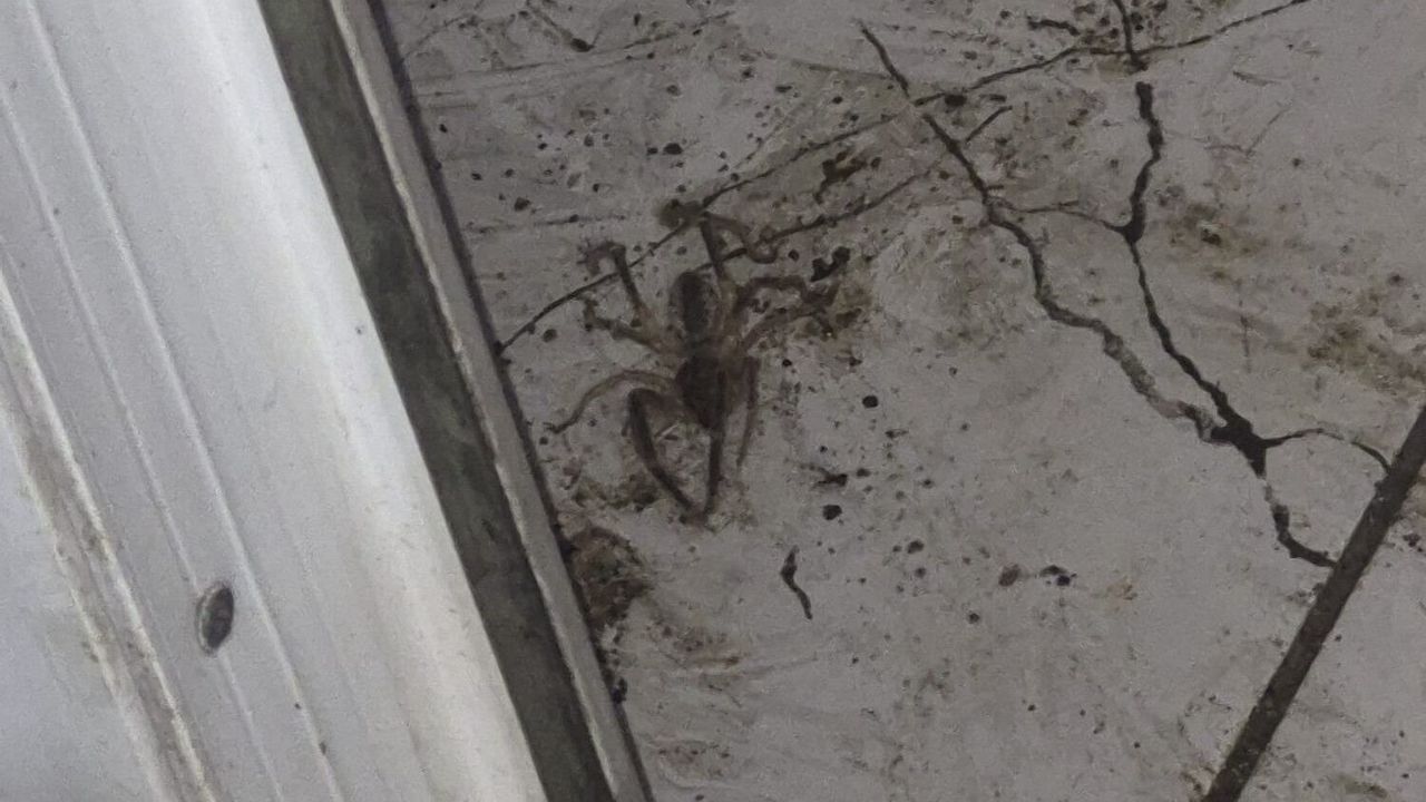 Çorum'da 