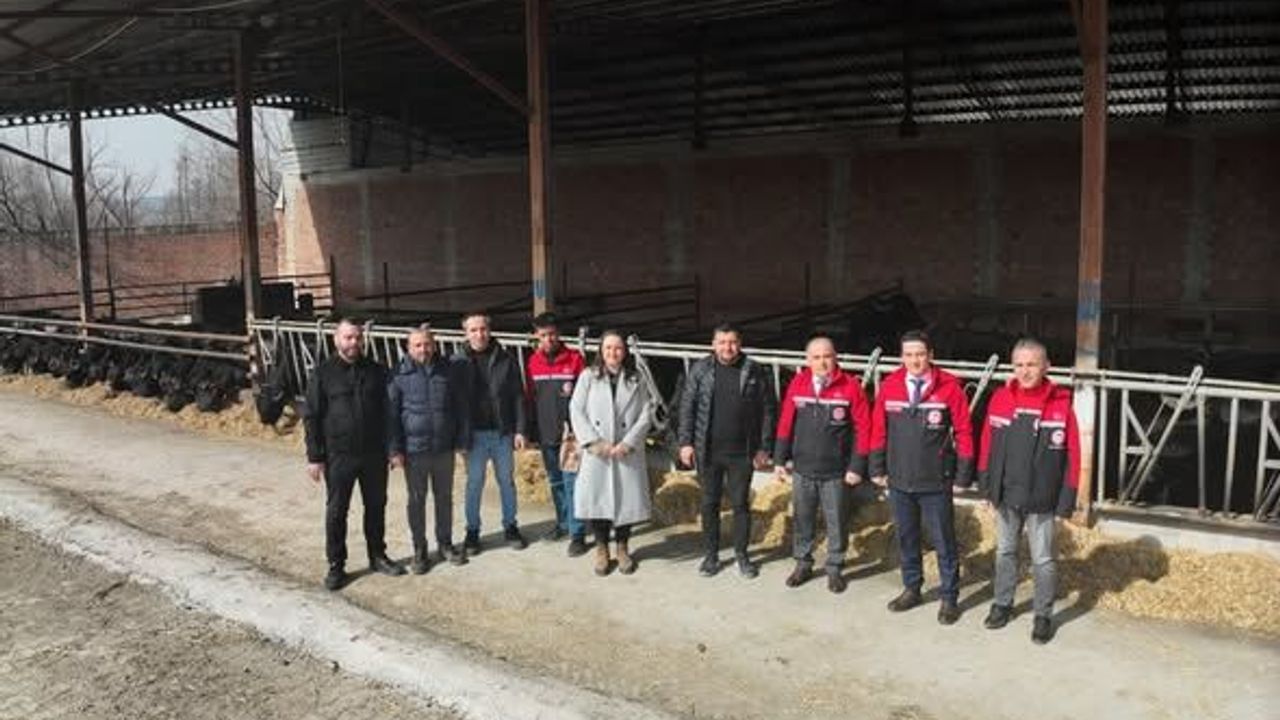 Çorum’da Manda Yetiştiriciliğin Geliştirilmesi İçin Saha Çalışmaları Sürüyor