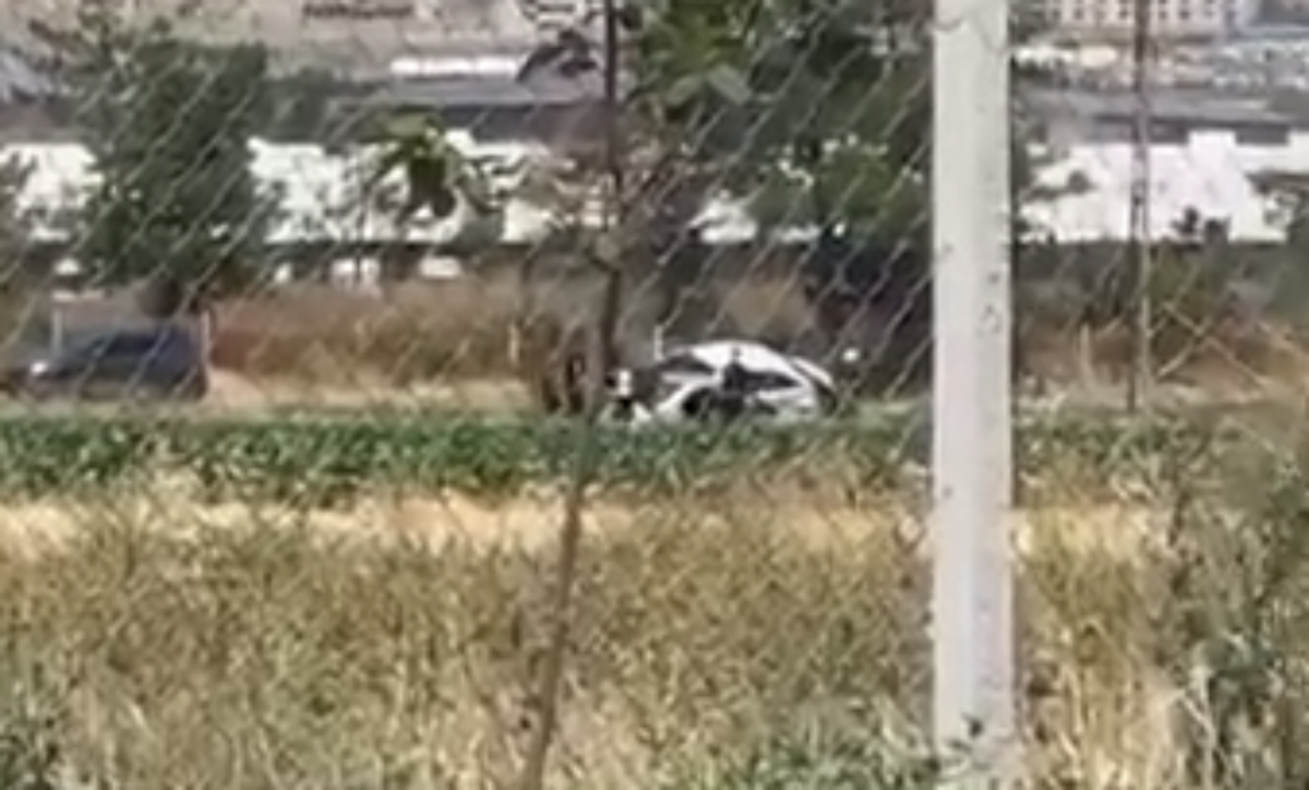 Dur İhtarına Uymayan Araç Kaza Yaptı