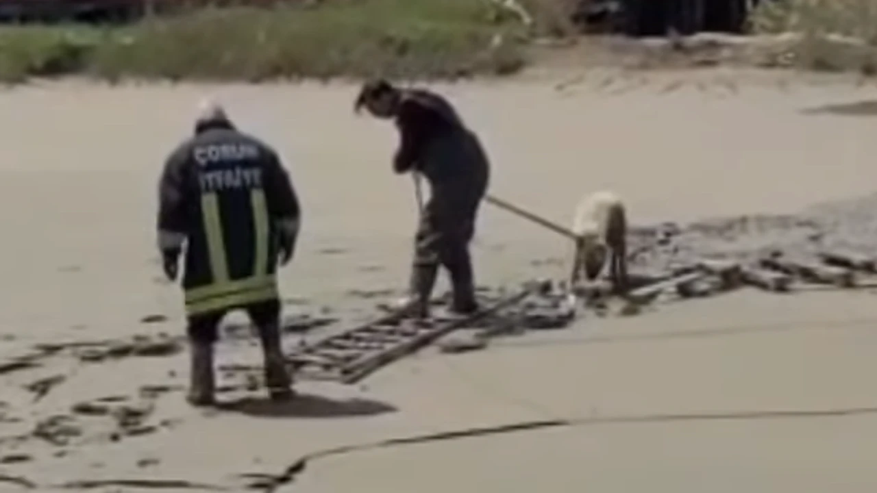 Çorum İtfaiyesinden Çamur Havuzunda Kurtarma Operasyonu