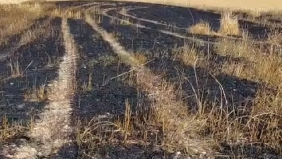 Alaca'da Korkutan Tarla Yangını: 10 Dönüm Ekili Alan Zarar Gördü
