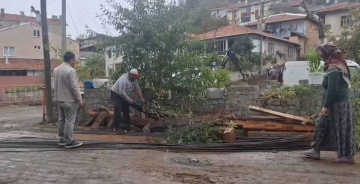 Bayat'ta Kaldırım İçin Ağaç Kesimine Tepki: Gözler Belediyede