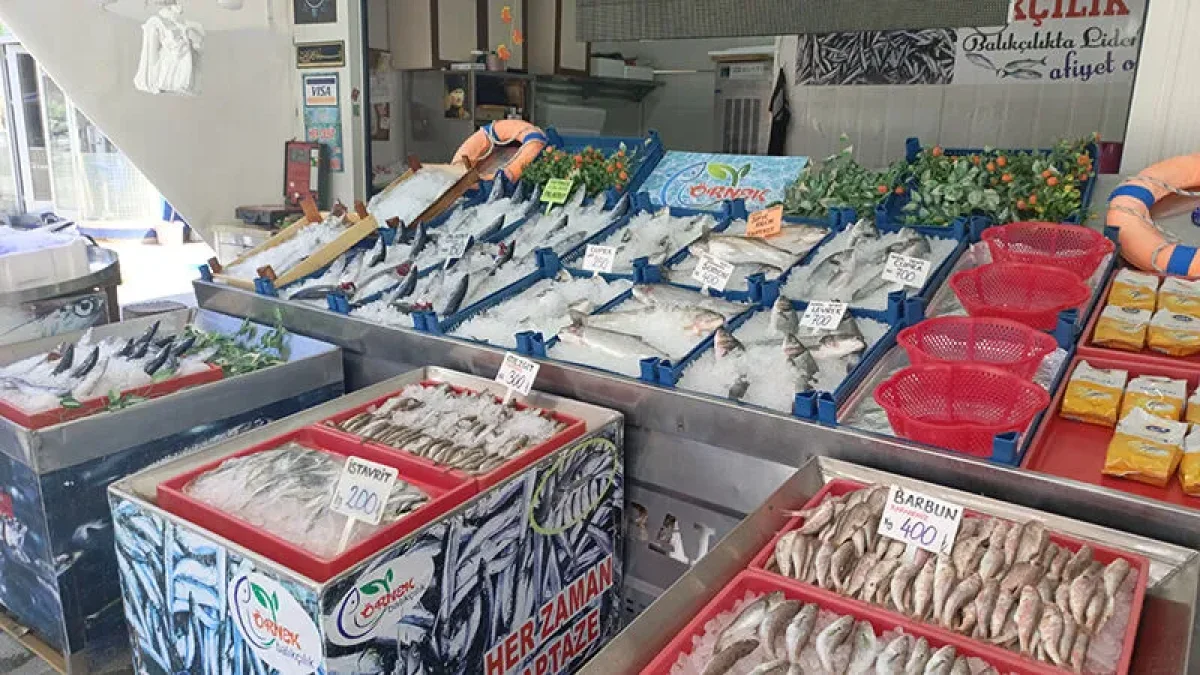Karadeniz'de Palamut Bereketi Çorum Tezgâhlarını Salladı: Tanesi 100-150 Tl'den Satışa Çıktı!