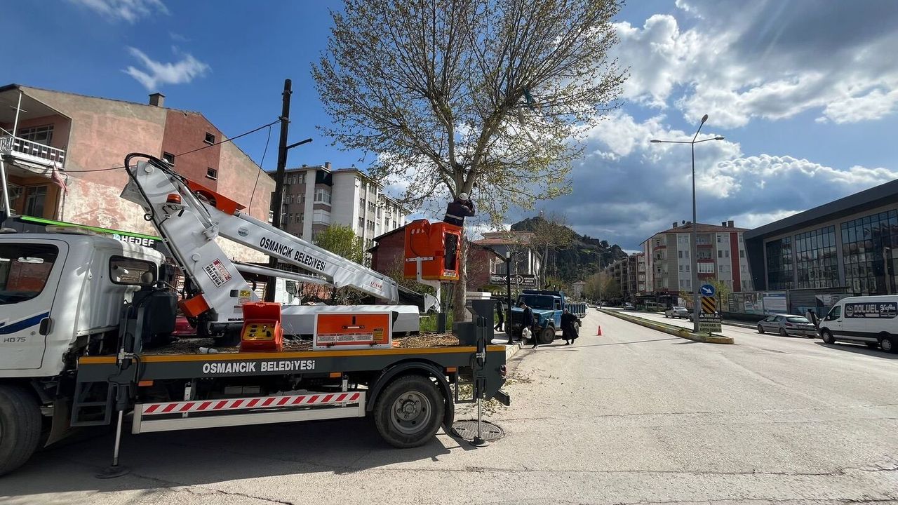 Park ve Bahçeler Ekiplerinden Yoğun Çalışma
