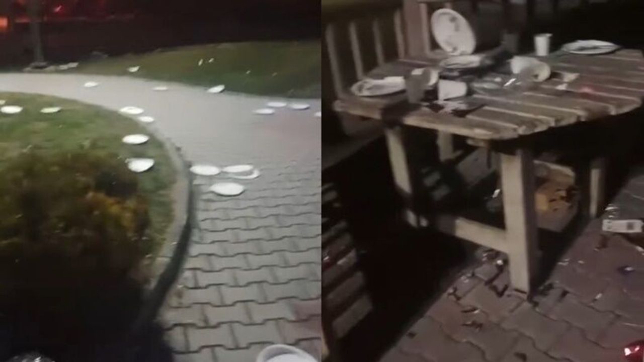Parkta Şok Eden Manzara! Bunun Sorumluları Kim?