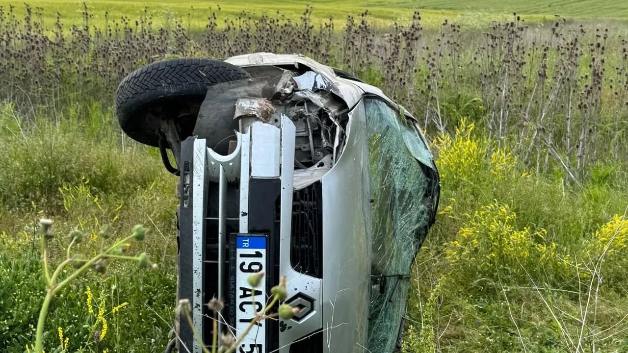 Takla Atan Otomobilden Hem Kendileri, Hem De Koyunları Sağ Çıktı!